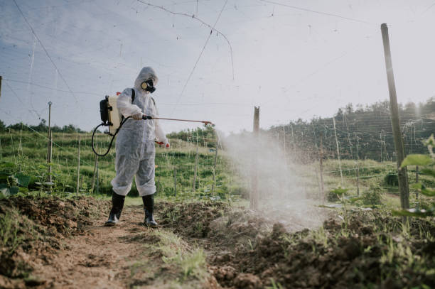 Best Pest Prevention Services  in Grafton, OH