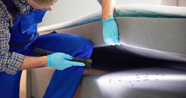 Best Pest Control Treatment  in Grafton, OH