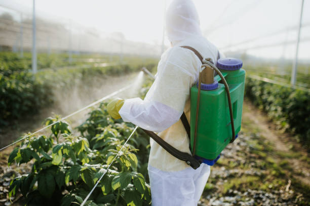 Best Mosquito Control Services  in Grafton, OH